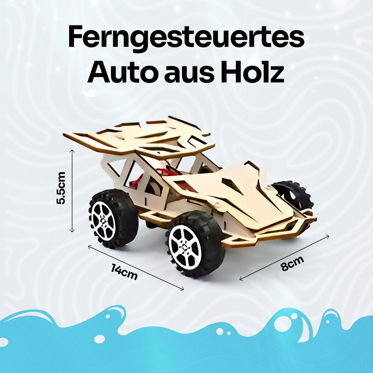 DIY Holz Fernbedienung Auto